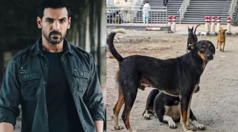 "जॉन अब्राहम सुप्रीम कोर्ट के आवारा कुत्तों पर आदेश के खिलाफ विरोध जताते हुए, CJI को समाधान सुझाने वाला पत्र लिखते हुए"