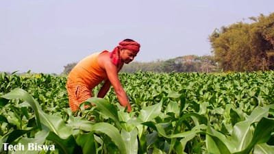 PM Kisan Yojana Update 2025 – Big News Farmers Must Know