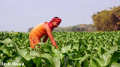 PM Kisan Yojana Update 2025 – Big News Farmers Must Know