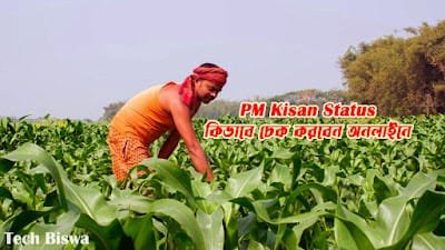 Bangladesh Border Alert: Indian Fighter Jets ও USA Army 3 PM Kisan Yojana 2025 | PM-Kisan Scheme Update 2025